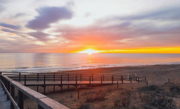 1. Apartamento / piso - Reventa - Torrevieja - Costa Blanca Sur