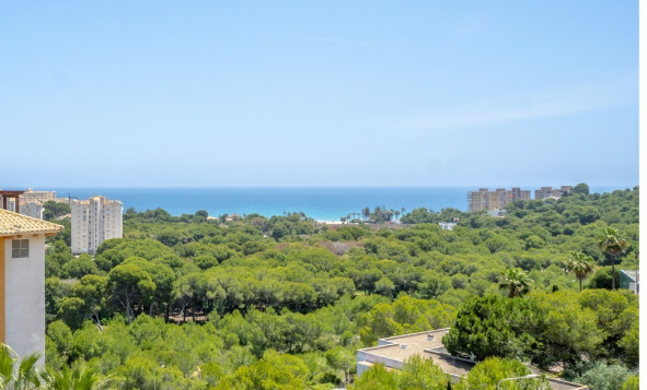 1. Apartment / flat - Resale - Dehesa de Campoamor - Costa Blanca South