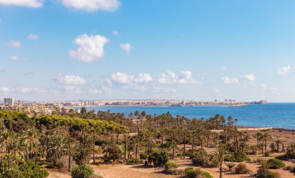 1. Apartment / flat - Resale - Punta Prima - Costa Blanca South