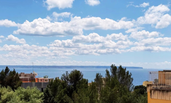 1. Appartement / flat - Herverkoop - Palma - GS-55188