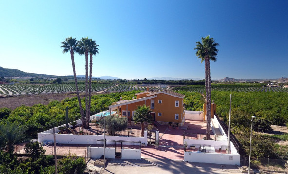 4. House - Detached Villa - Herverkoop - Orihuela - Orihuela