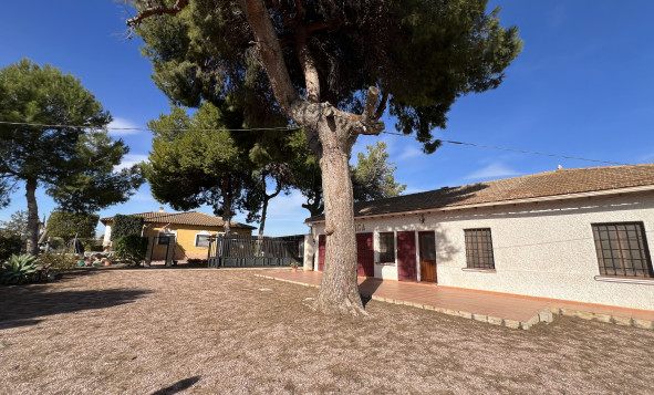 4. House - Detached Villa - Resale - Daya Nueva - Rojales