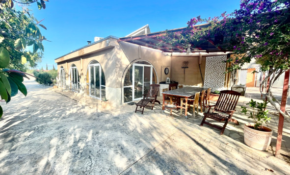 7. Finca / Country property - Resale - Crevillent - Crevillente