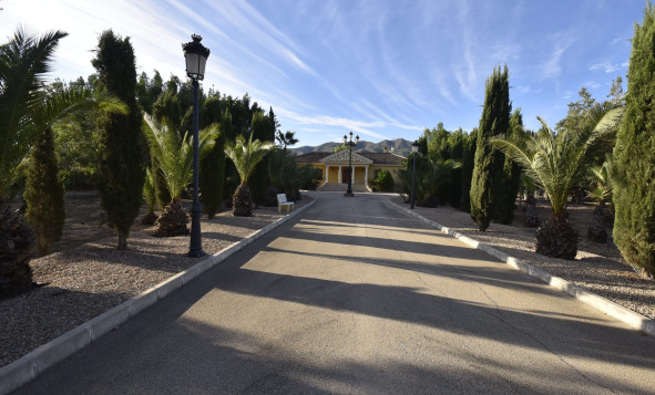 7. Finca / Country property - Resale - La Mata - Costa Blanca South