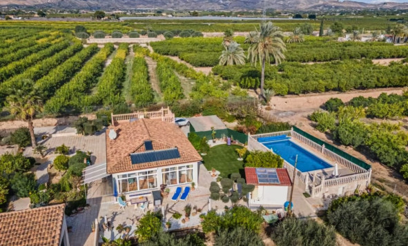 7. Finca / landhuis - Herverkoop - Albatera - Costa Blanca Zuid