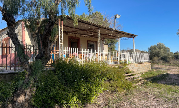 7. Finca - Reventa - Aspe - Aspe