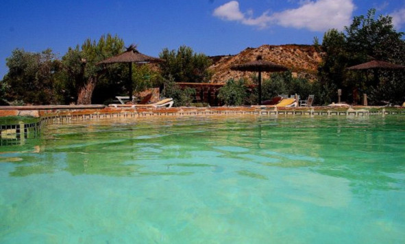 7. Finca - Reventa - Gea Y Truyols - Costa Calida