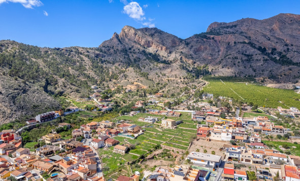 7. Finca - Reventa - Orihuela - Raiguero de Bonanza