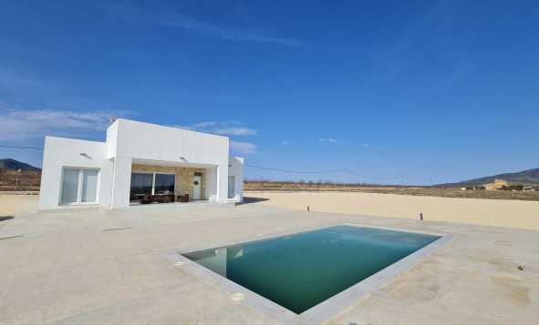 7. Finca - Reventa - Pinoso - Pinoso - Country