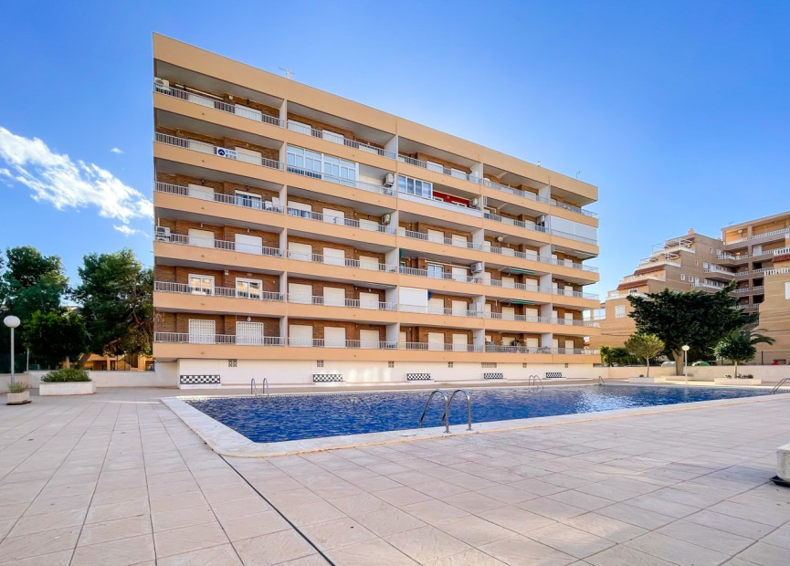 Alquiler a corto plazo - 1. Apartment / flat - Punta Prima - Orihuela Costa