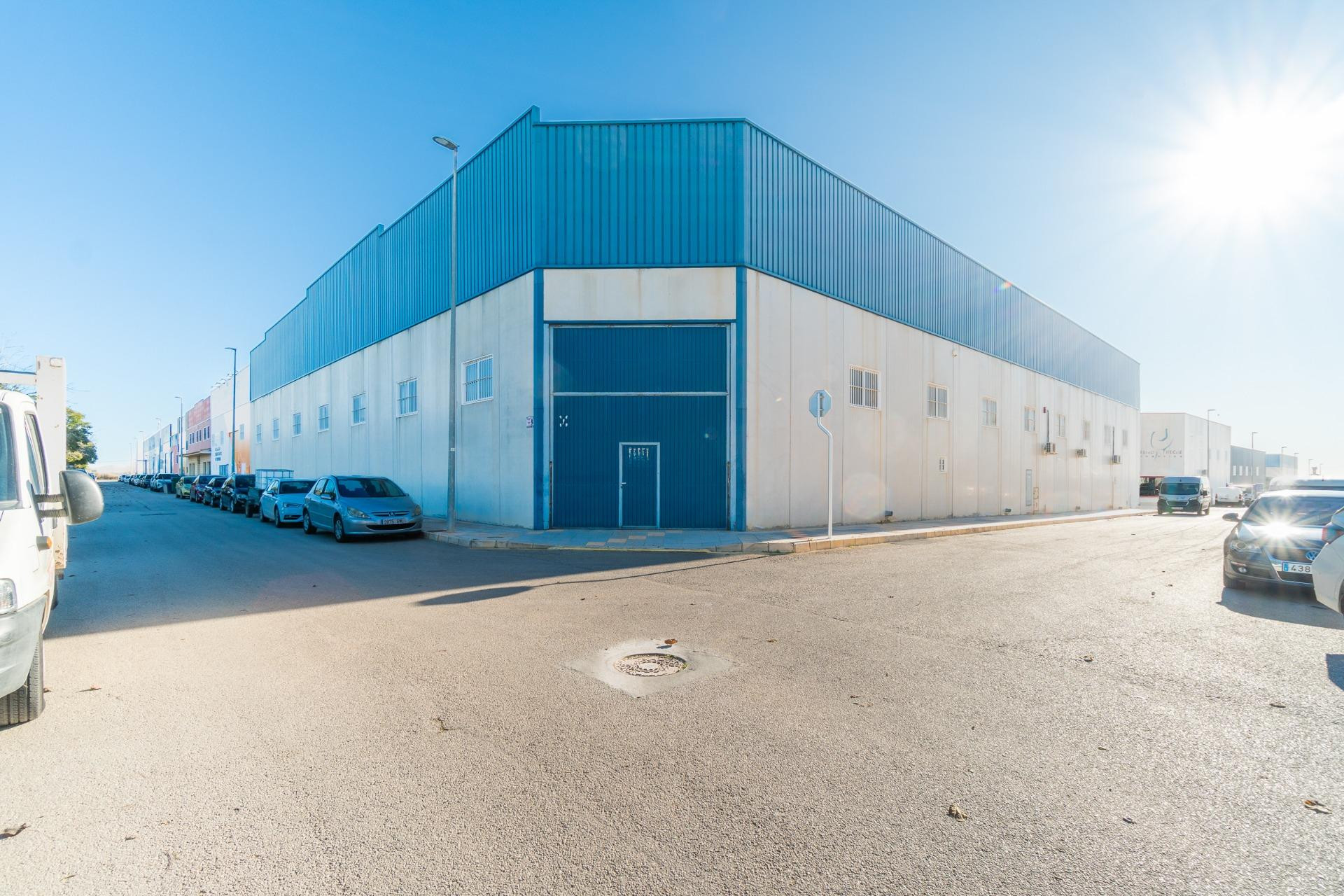 Alquiler a largo plazo - Industrial unit - Pilar de la Horadada - Polígono industrial Cañada de Práez