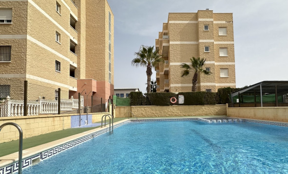 Apartment - Resale - Torrevieja - Torrevieja