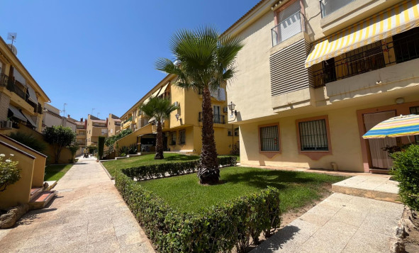 Apartment - Resale - Torrevieja - Torrevieja