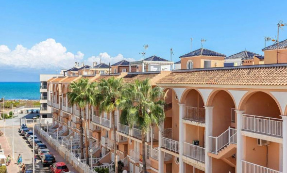 Apartment - Resale - Torrevieja - Torrevieja