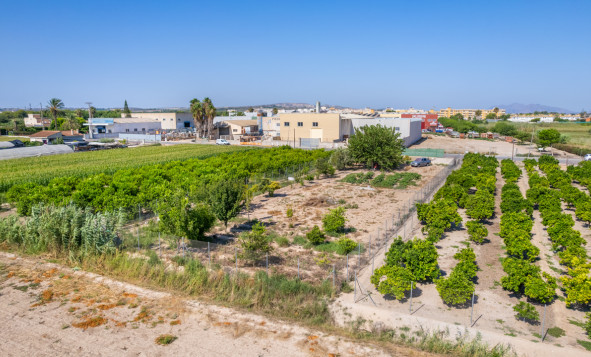 Bouwgrond - Herverkoop - Formentera del Segura - Costa Blanca Zuid