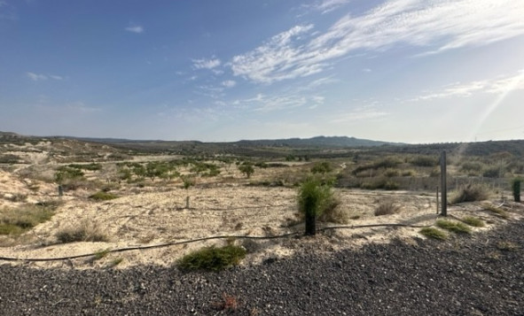 Bouwgrond - Herverkoop - Torremendo - CW-45444