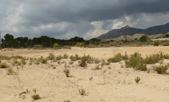 Building Plot - Herverkoop - Crevillente - Orihuela