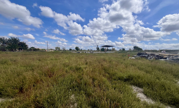 Building Plot - Resale - Catral - Costa Blanca South