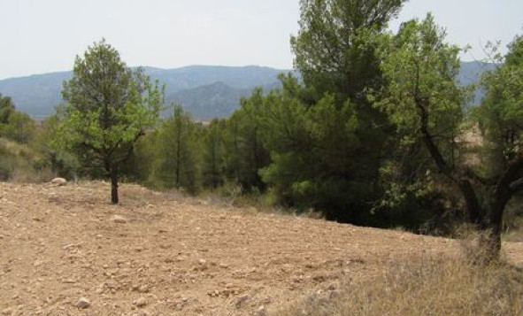 Building Plot - Resale - Murcia - Murcia