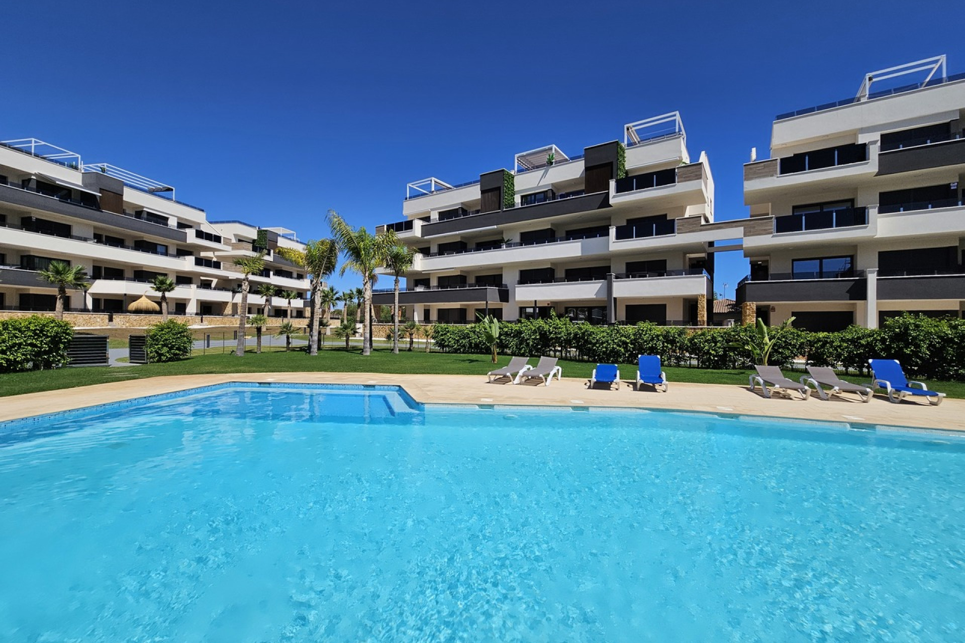 Herverkoop - 1. Apartment / flat - Playa Flamenca - Orihuela Costa