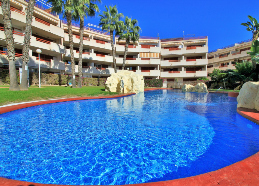 Herverkoop - 1. Apartment / flat - Playa Flamenca - Orihuela Costa