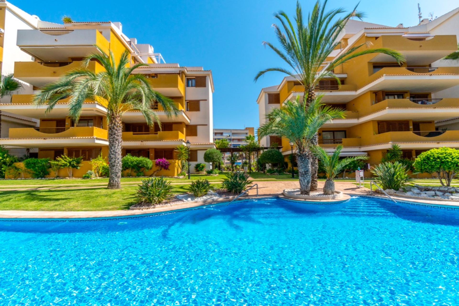 Herverkoop - 1. Apartment / flat - Punta Prima - Orihuela Costa