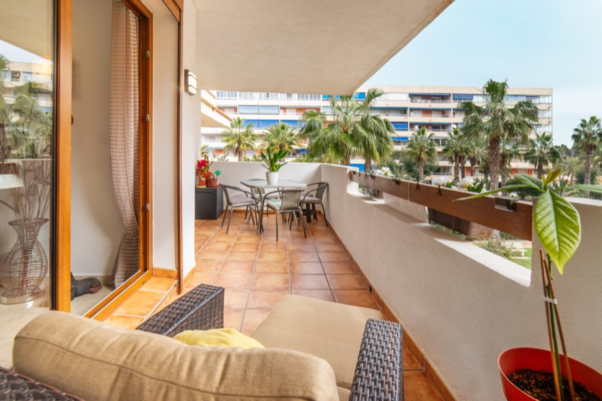 Herverkoop - 1. Apartment / flat - Punta Prima - Orihuela Costa