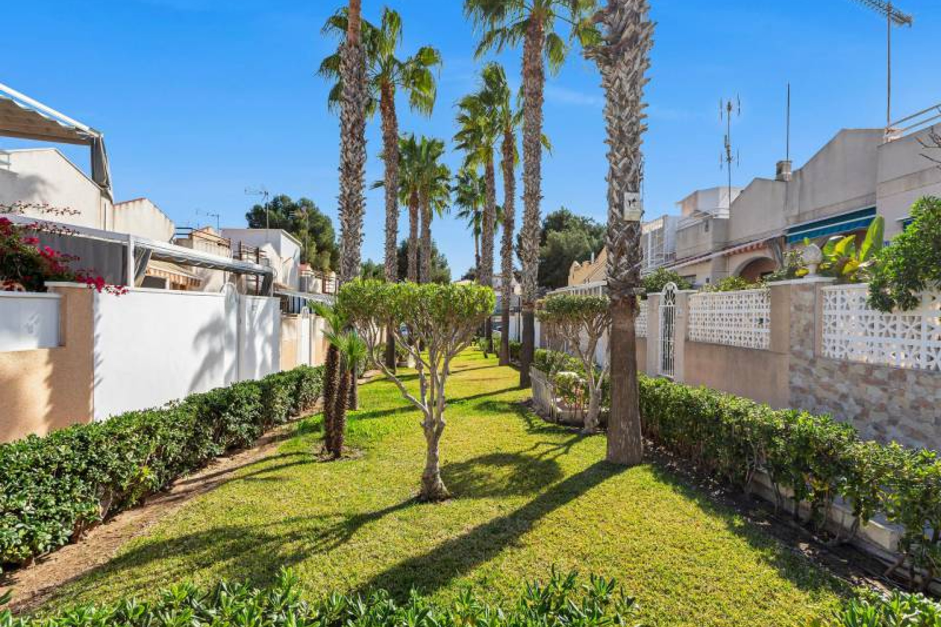 Herverkoop - 1. Apartment / flat - Torrevieja - Orihuela Costa