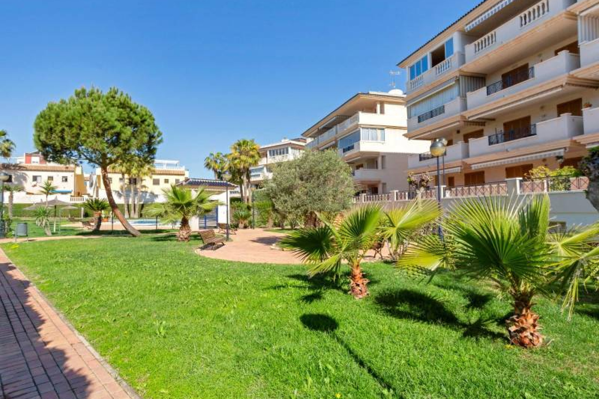 Herverkoop - 1. Apartment / flat - Torrevieja