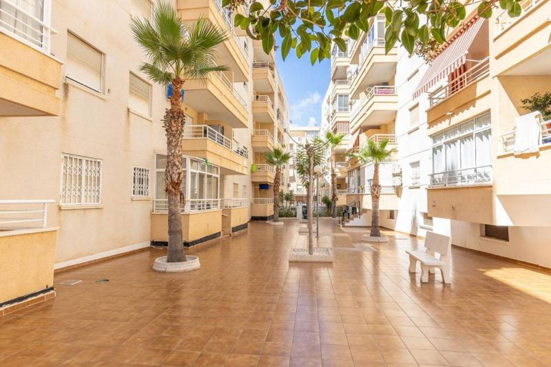 Herverkoop - 1. Apartment / flat - Torrevieja