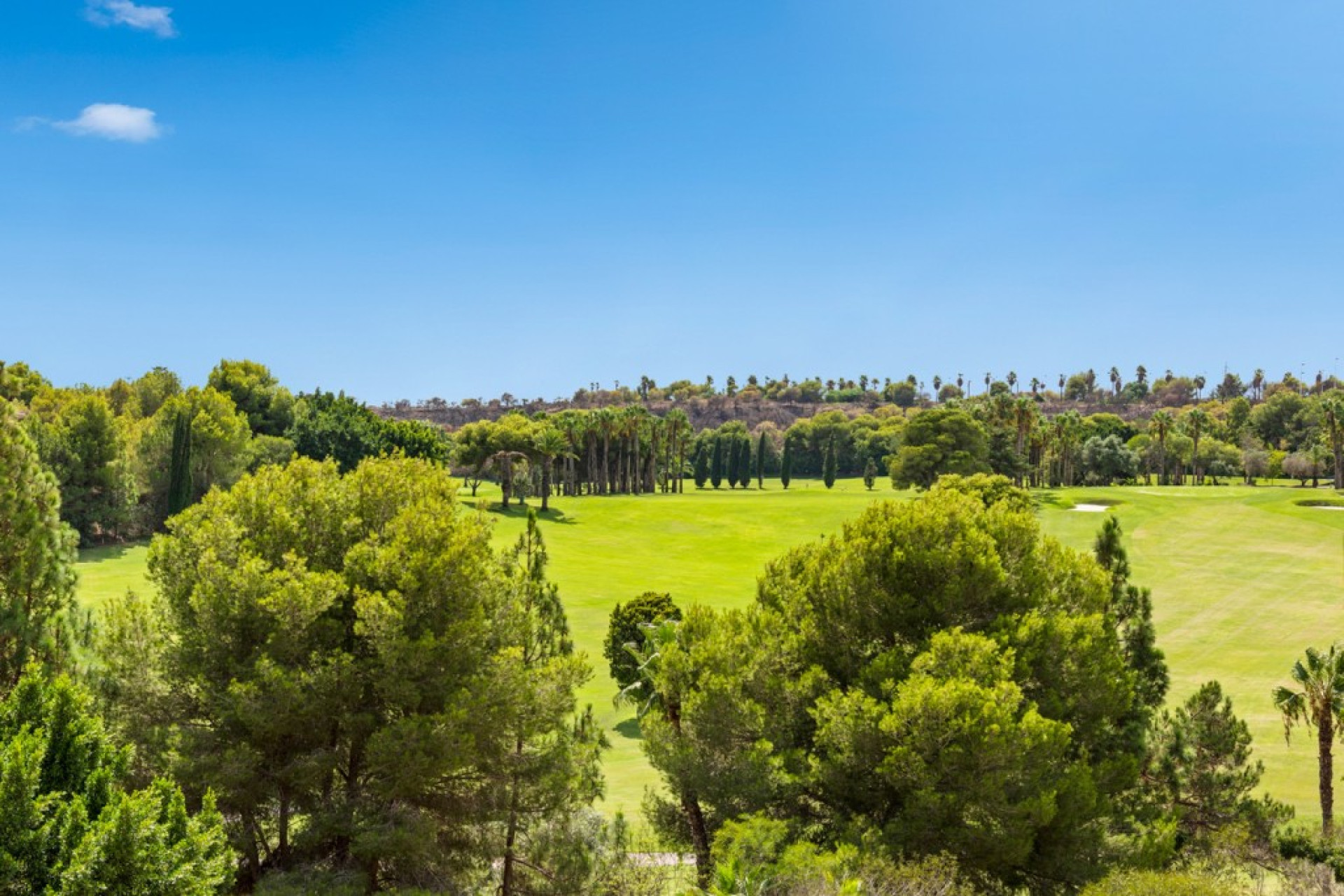 Herverkoop - 1. Appartement / flat - Dehesa de Campoamor - Costa Blanca Zuid