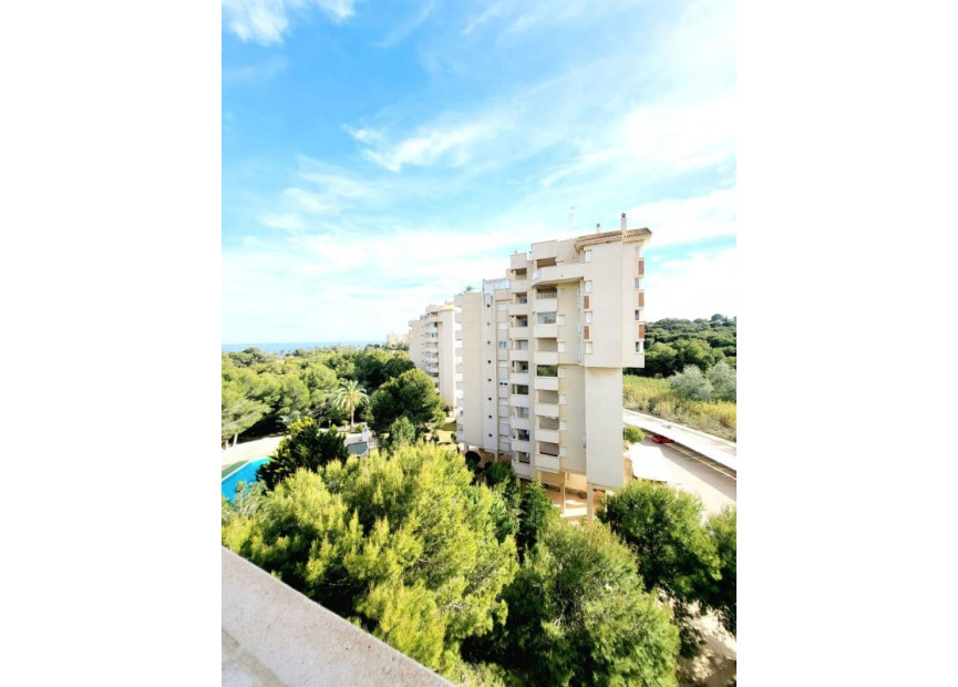 Herverkoop - 1. Appartement / flat - Dehesa de Campoamor - Costa Blanca Zuid