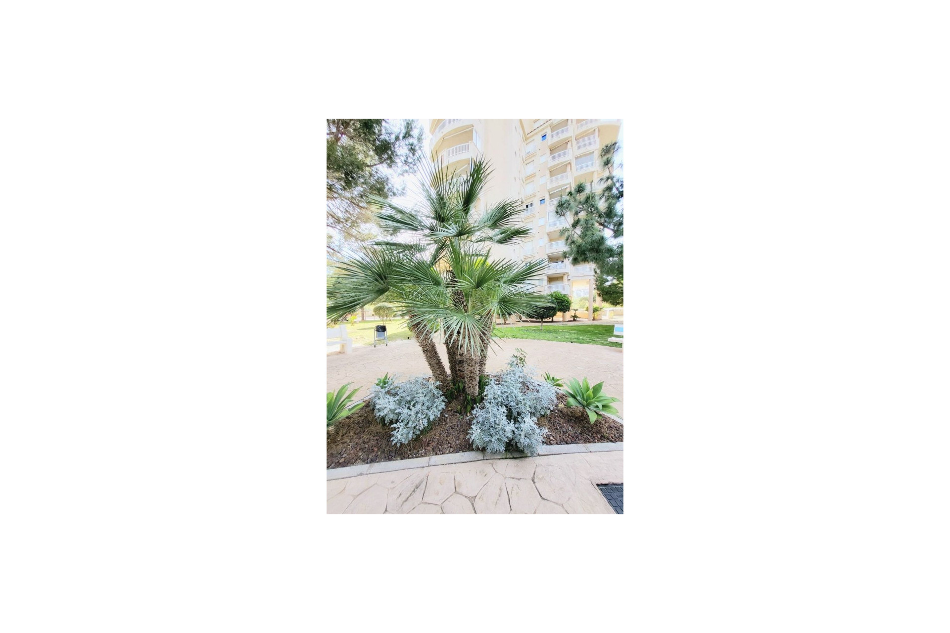 Herverkoop - 1. Appartement / flat - Dehesa de Campoamor - Costa Blanca Zuid