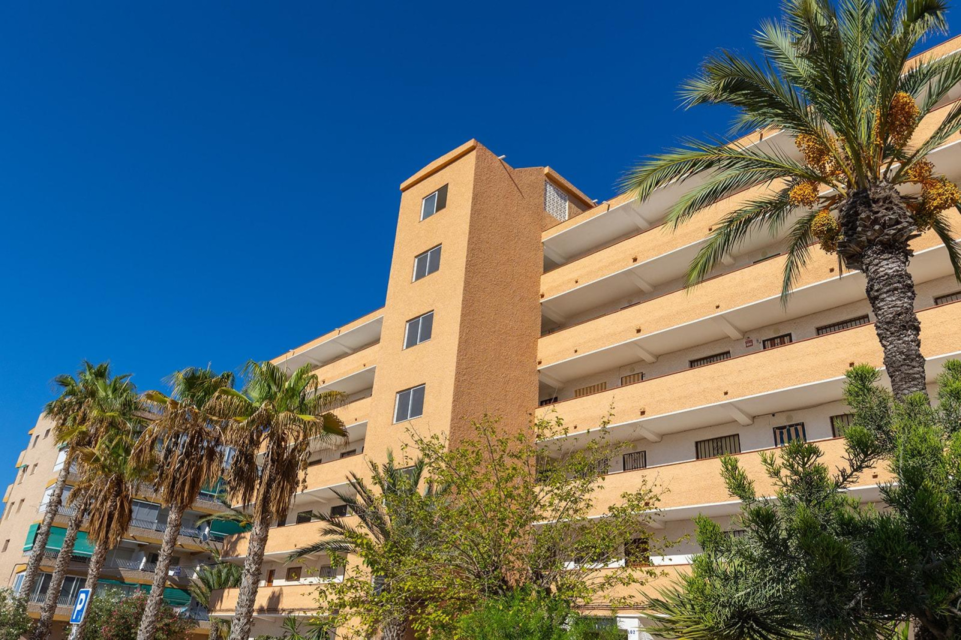 Herverkoop - 1. Appartement / flat - Guardamar del Segura - Costa Blanca Zuid