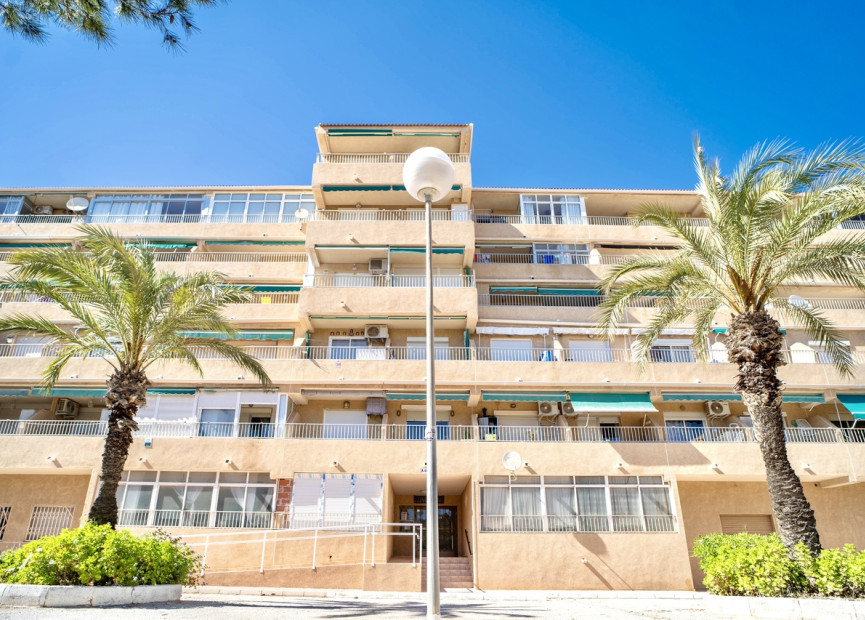 Herverkoop - 1. Appartement / flat - Guardamar del Segura - Costa Blanca Zuid