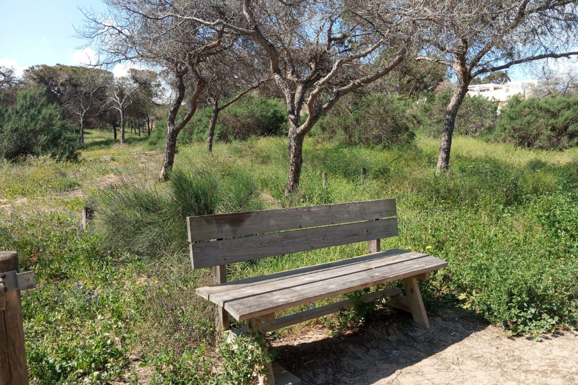 Herverkoop - 1. Appartement / flat - Guardamar del Segura - Urbanizaciones