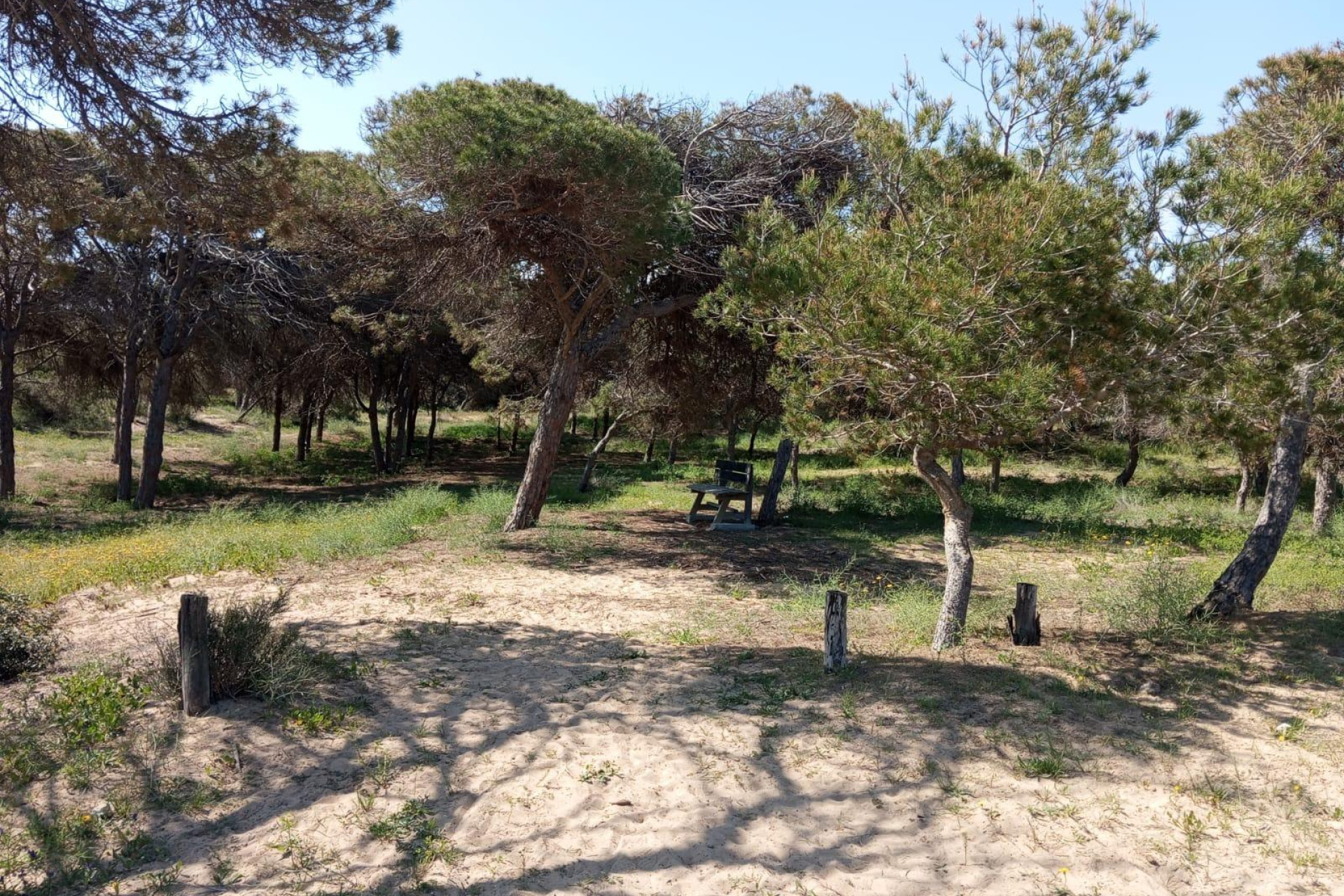 Herverkoop - 1. Appartement / flat - Guardamar del Segura - Urbanizaciones