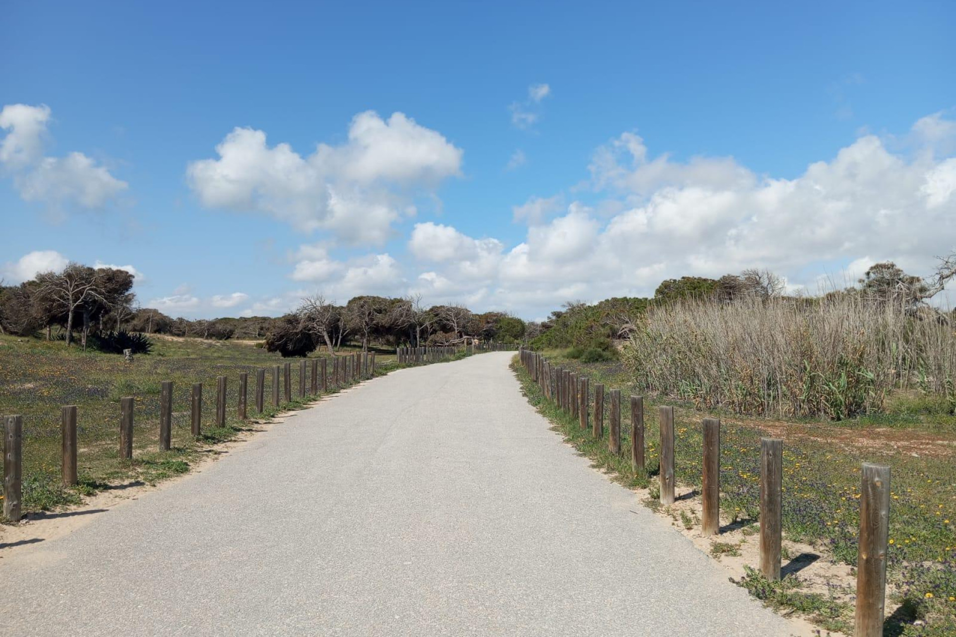 Herverkoop - 1. Appartement / flat - Guardamar del Segura - Urbanizaciones
