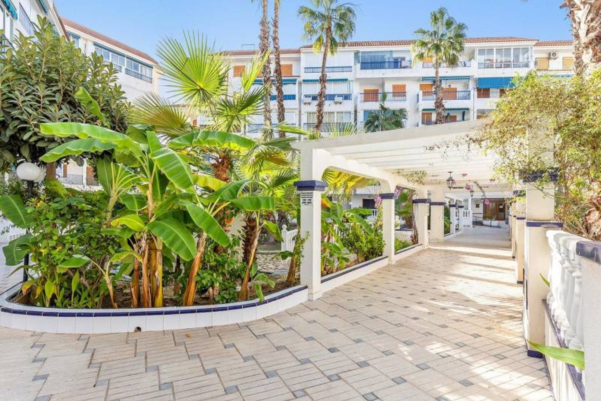 Herverkoop - 1. Appartement / flat - La Mata - Costa Blanca Zuid