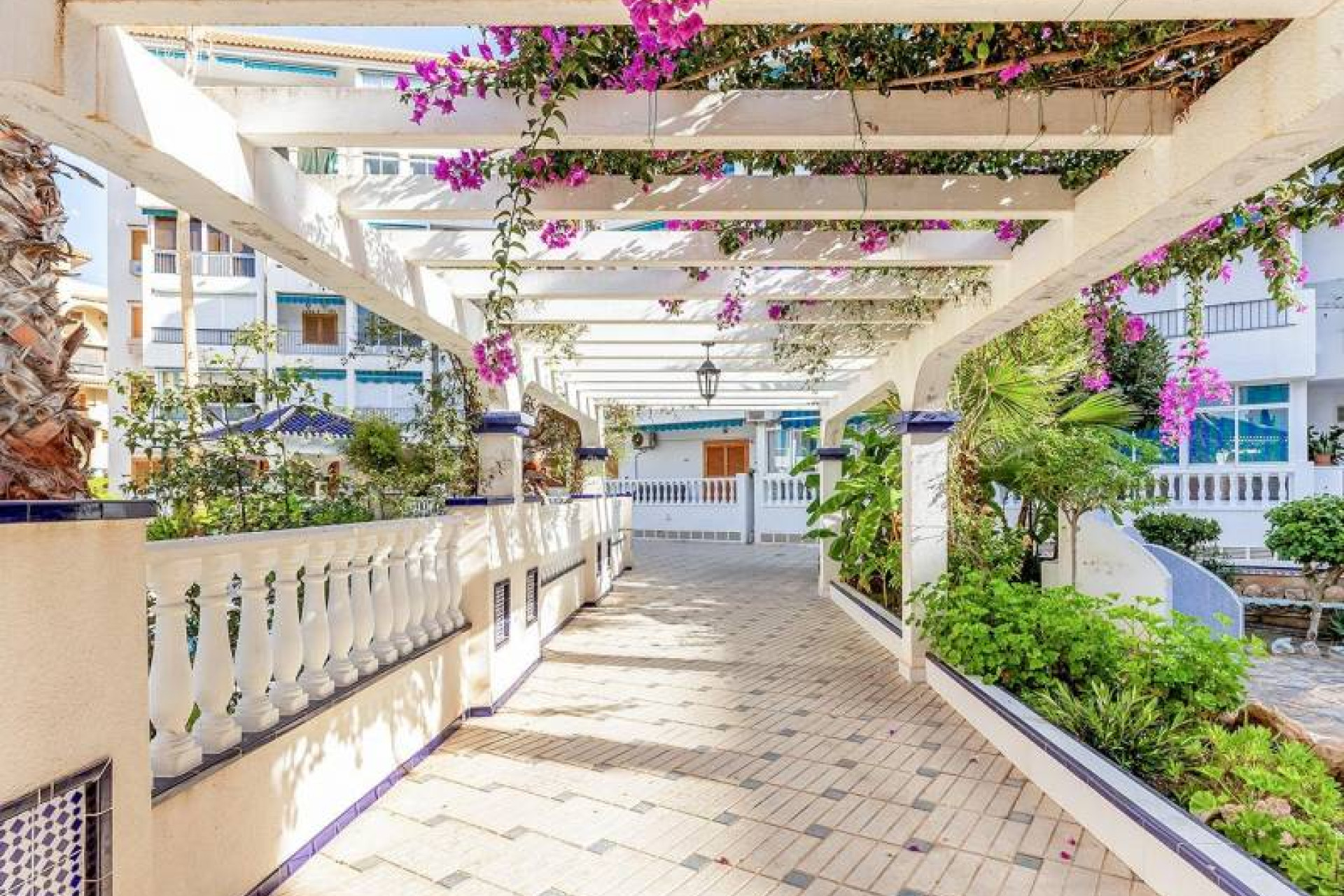 Herverkoop - 1. Appartement / flat - La Mata - Costa Blanca Zuid