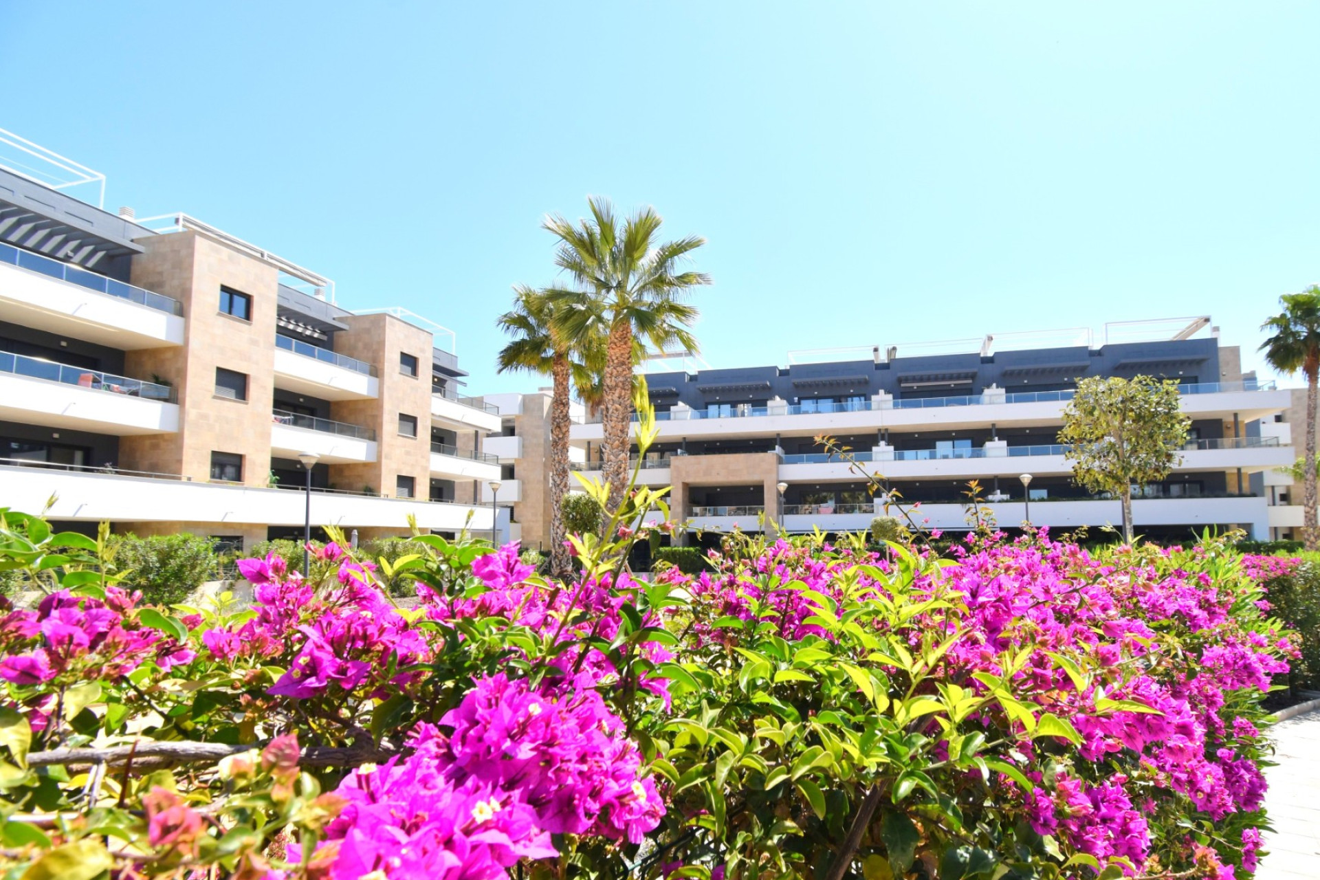 Herverkoop - 1. Appartement / flat - Orihuela Costa - Costa Blanca Zuid