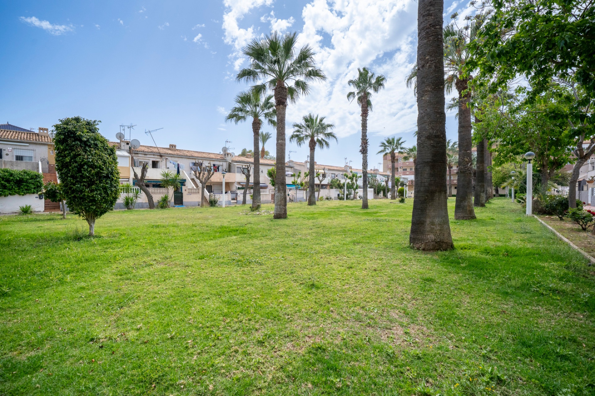 Herverkoop - 1. Appartement / flat - Orihuela Costa - Costa Blanca Zuid