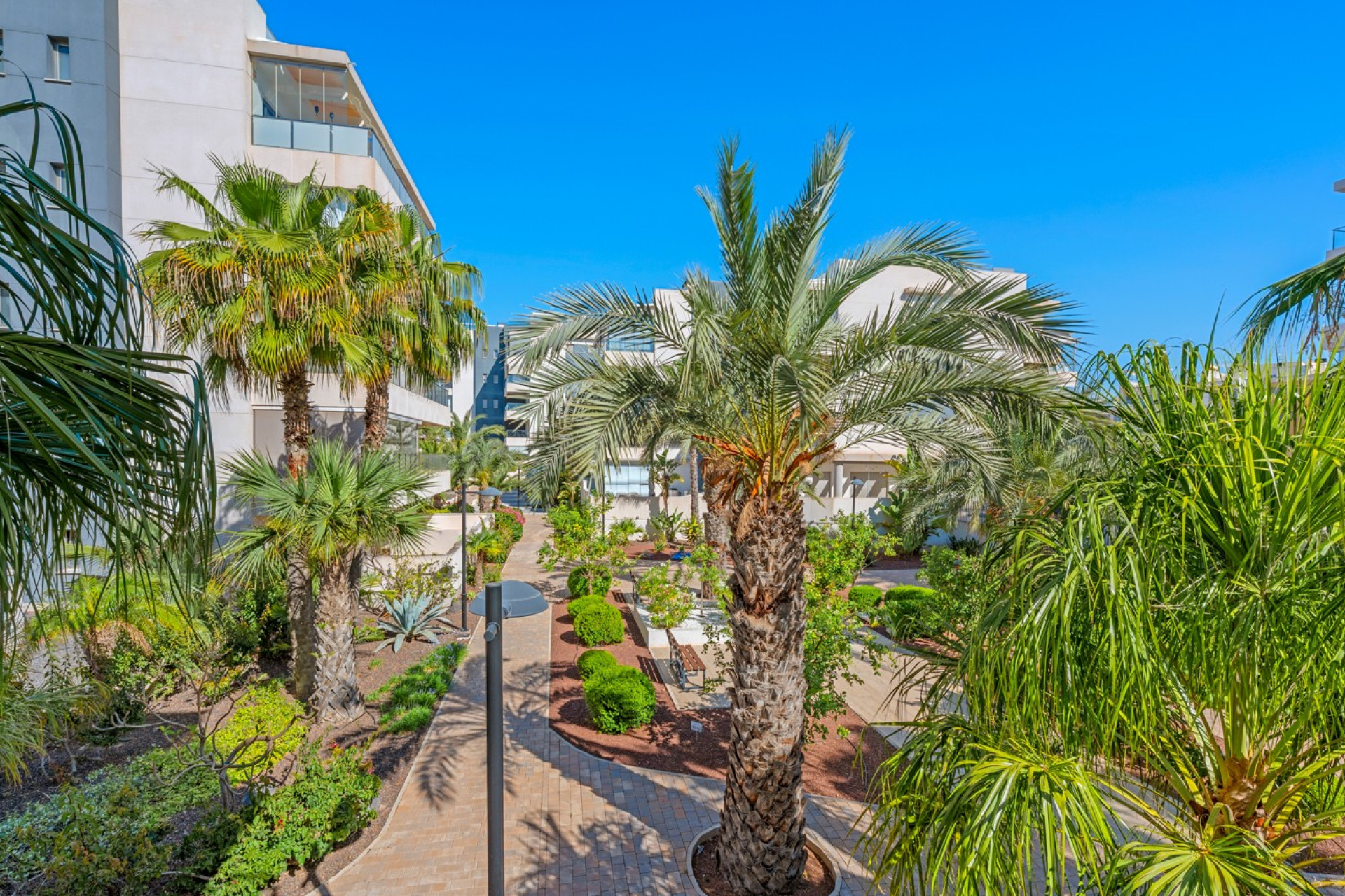 Herverkoop - 1. Appartement / flat - Orihuela Costa - Costa Blanca Zuid