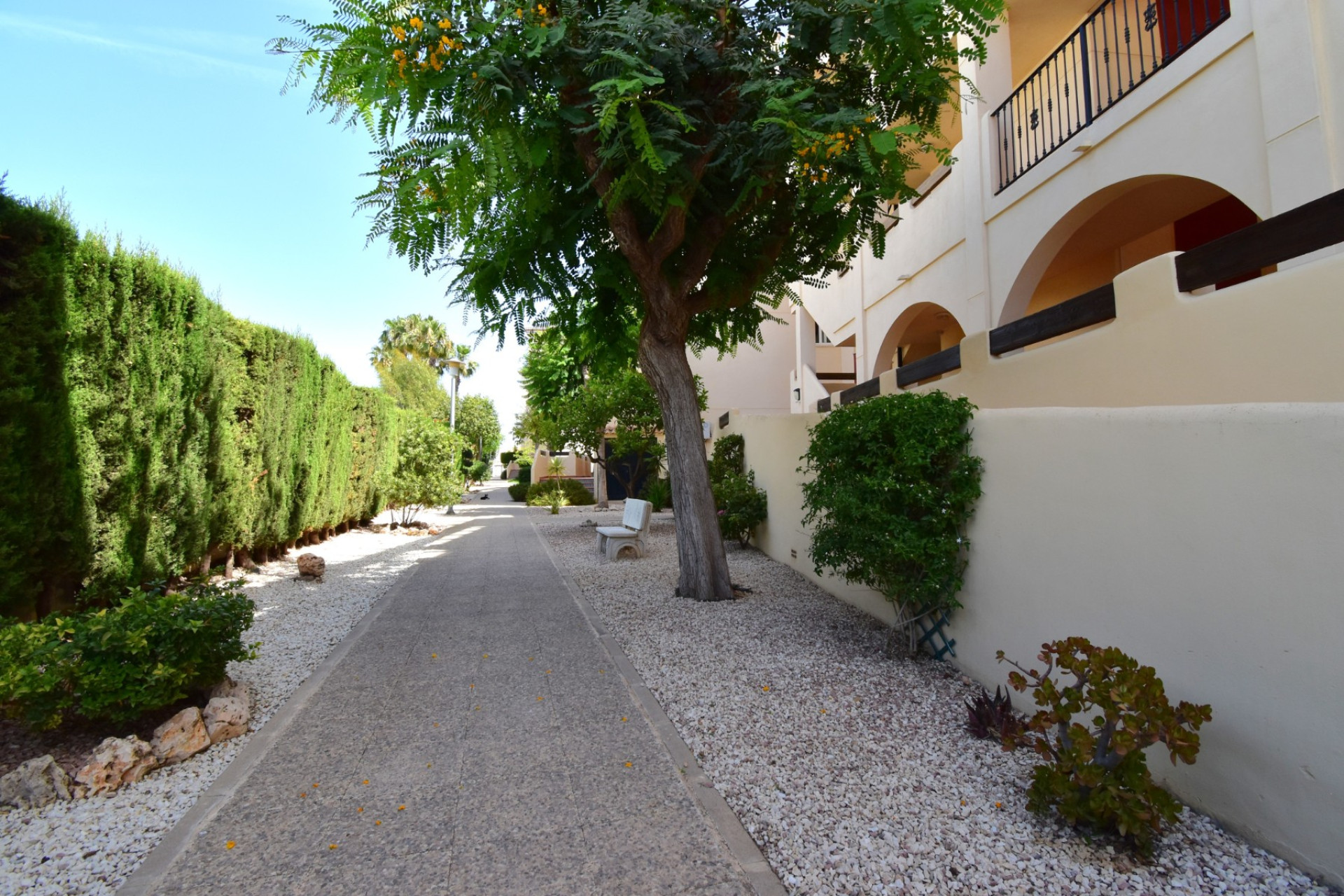 Herverkoop - 1. Appartement / flat - Orihuela Costa - Costa Blanca Zuid