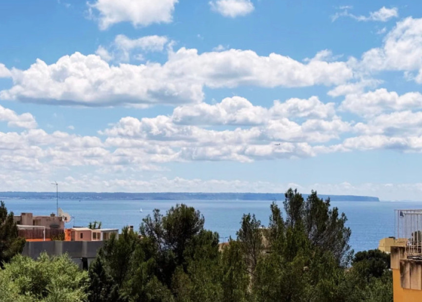 Herverkoop - 1. Appartement / flat - Palma - Mallorca