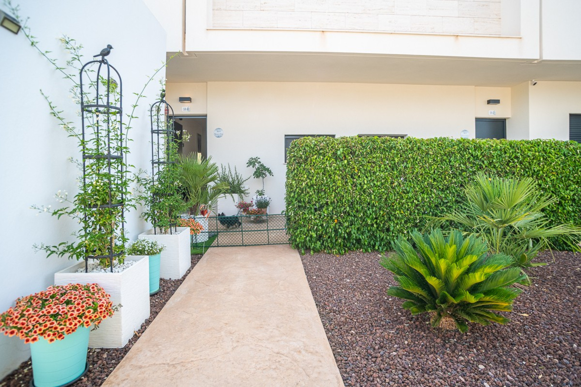 Herverkoop - 1. Appartement / flat - Pilar de la Horadada - Costa Blanca Zuid