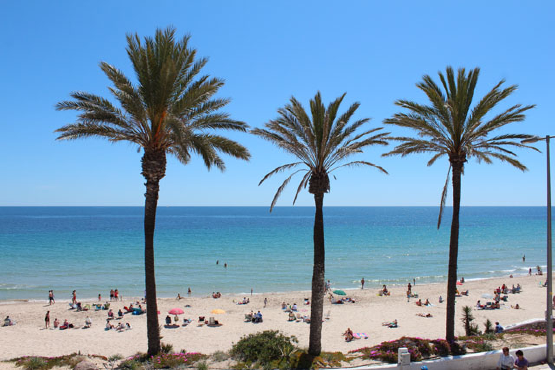 Herverkoop - 1. Appartement / flat - Pilar de la Horadada - Costa Blanca Zuid