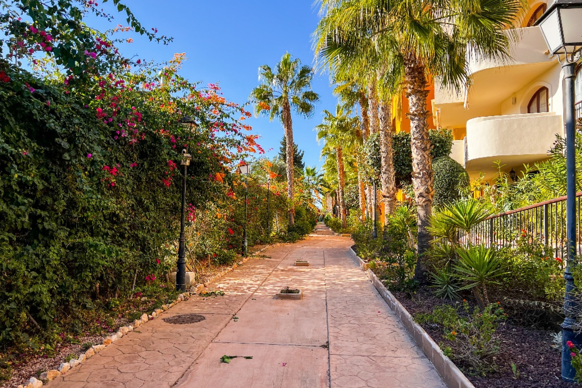 Herverkoop - 1. Appartement / flat - Punta Prima - Costa Blanca Zuid