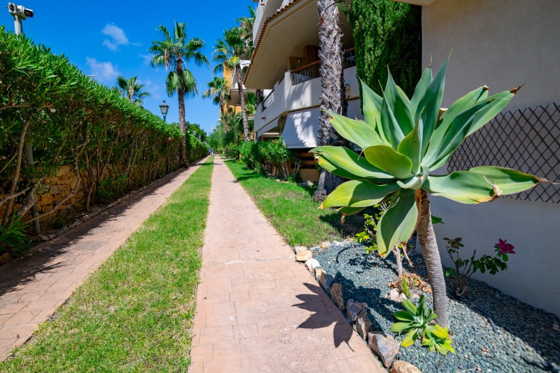 Herverkoop - 1. Appartement / flat - Punta Prima - Costa Blanca Zuid