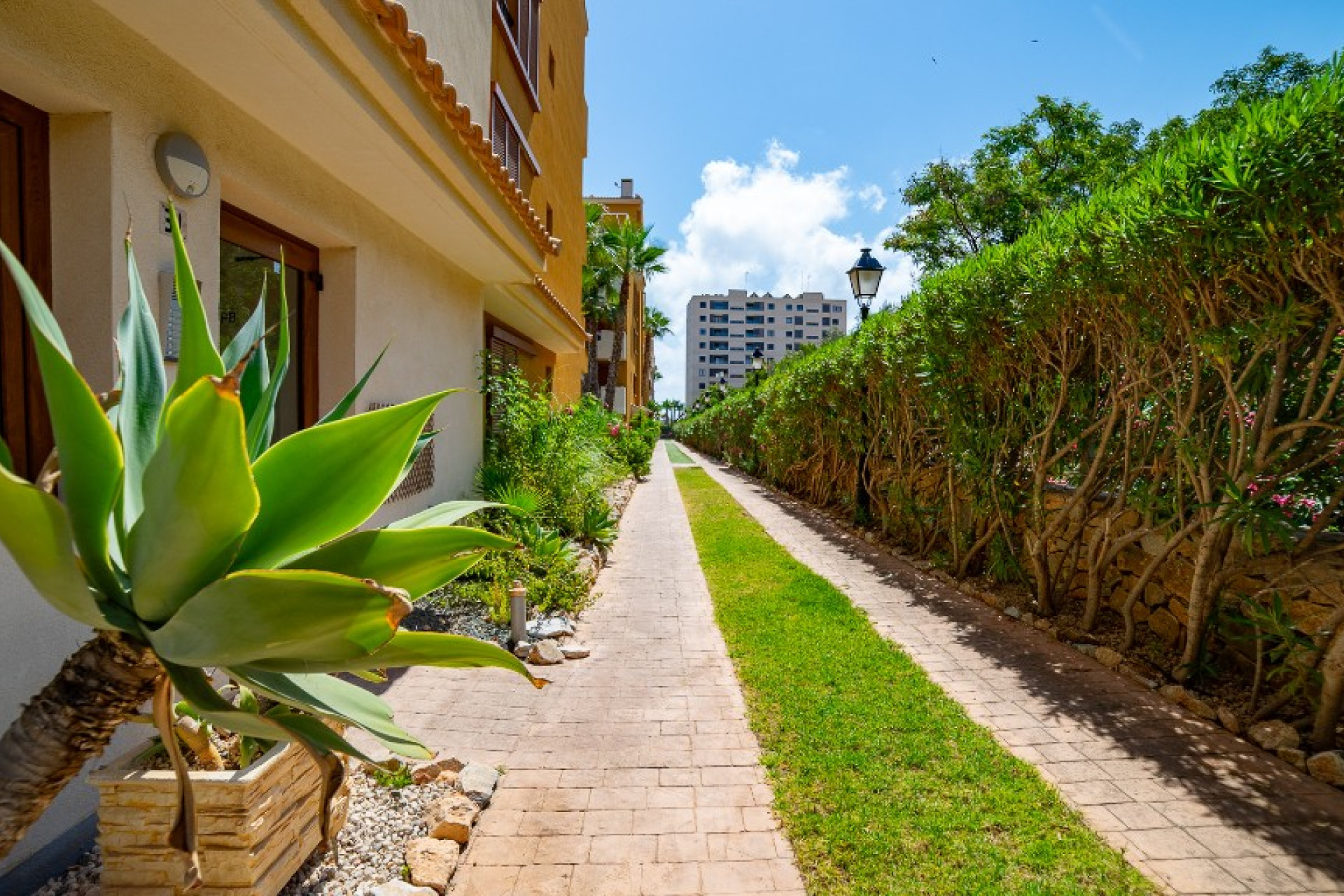 Herverkoop - 1. Appartement / flat - Punta Prima - Costa Blanca Zuid